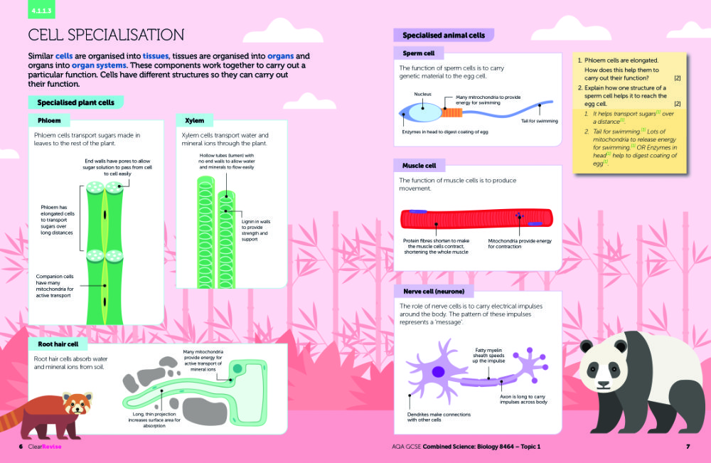 KS3 Science Now